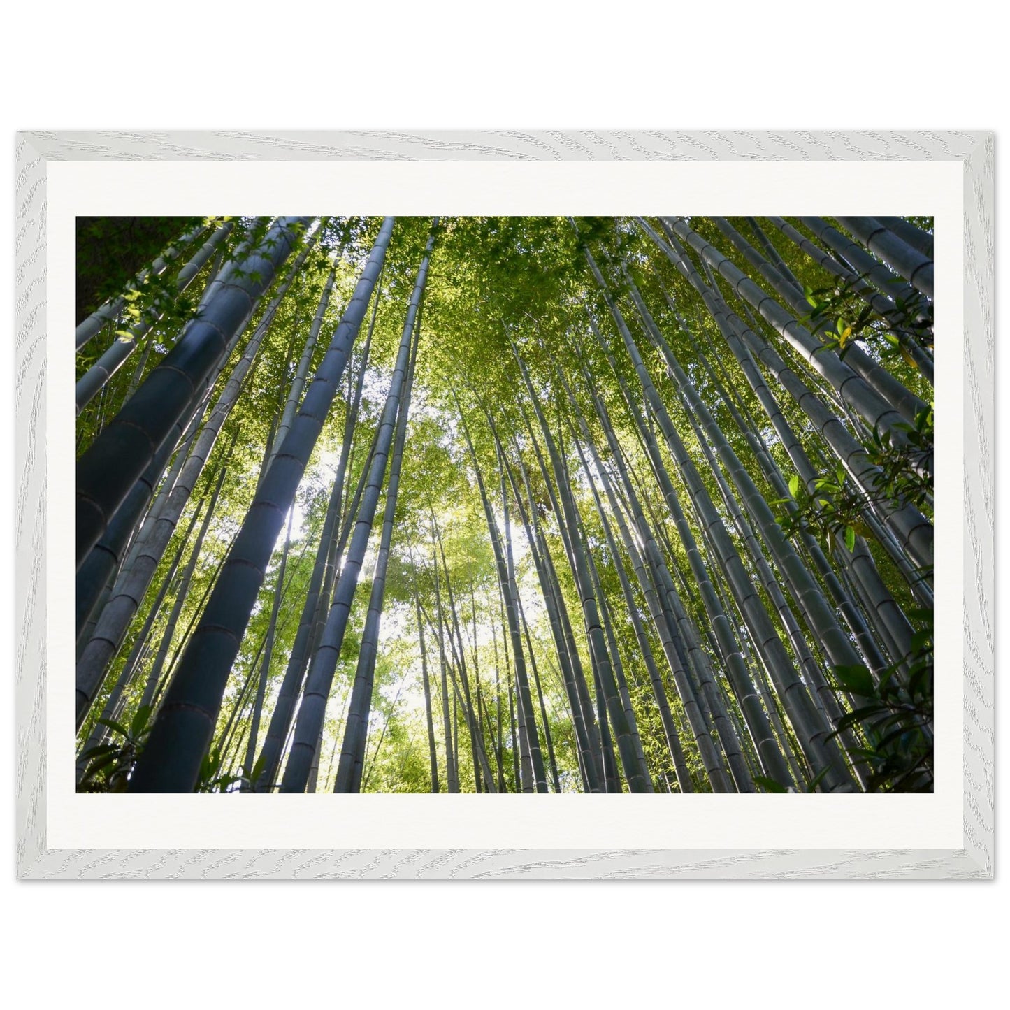 af328c97-0581-4d25-9a53-694f14c668db